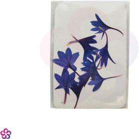 تصویر گل خشک گندم 