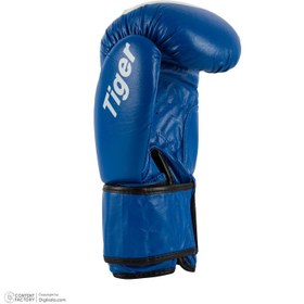تصویر دستکش بوکس گرین هیل تایگر - ۱۲ green hill tiger