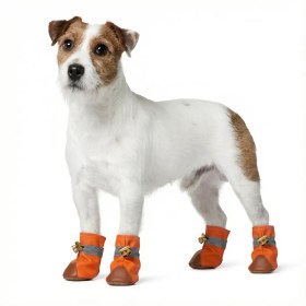 تصویر کفش چرمی سگ و گربه سایز XL 