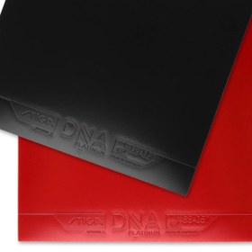 تصویر رویه DNA Platinum S استیگا 