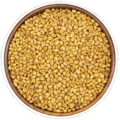 تصویر گندم برشته 