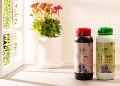 تصویر کودهای دکتر طباطبایی D.T.N.S 