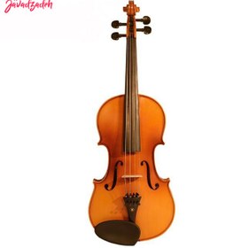 تصویر ویولن آکوستیک هافنر مدل 100 