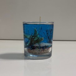 تصویر شات شمع دریایی 