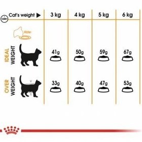 تصویر غذای خشک گربه رویال کنین مدل هیر اند اسکین 2 کیلویی - 400 گرمی Royal Canin Hair and Skin 2kg