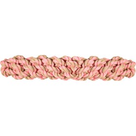 تصویر دندانی سگ مدل گره ای 