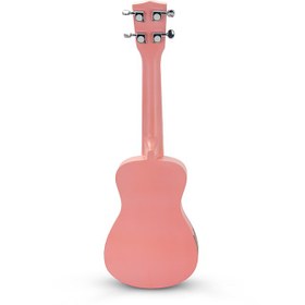 تصویر یوکللی بلوط طرح دونات 