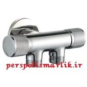 تصویر شیر پیسوار 2 خروجی (مناسب فرنگی ،شیر بیده و...) 