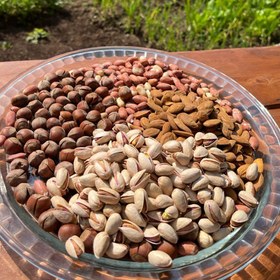 تصویر پک آجیل ۲ پک اجیل لوکس