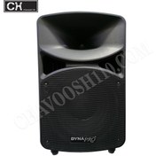 تصویر باند پسیو 15 اینچ دایناپرو DYNAPRO PROS1200 Passive Speaker DYNAPRO PROS1200