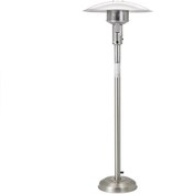 تصویر بخاری قارچی ایرانی 