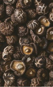 تصویر پودر قارچ شیتاکه 