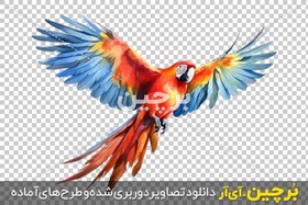 تصویر نقاشی آبرنگ png طوطی مکائو در حال پرواز 