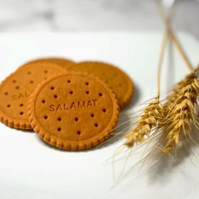 تصویر قالب بیسکوئیت سلامت Salamat Biscuit mold