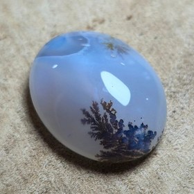 تصویر شجر قائن زیبا خاص 