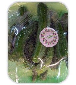 تصویر خیار 600 گرمی رویای سبز 