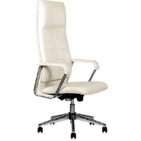 تصویر صندلی مدیریتی نیلپر OCM969 