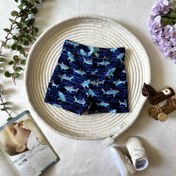 تصویر مایو کوسه خندان 