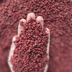 تصویر دان سماق قرمز 