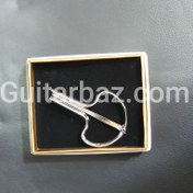 تصویر زنبورک نقره ای arax 