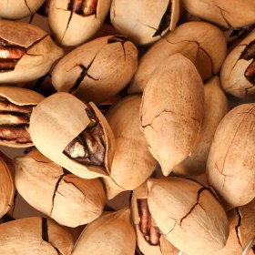 تصویر گردو پکان وانیلی 