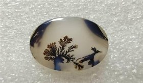 تصویر نگین شجر قائن 