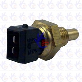 تصویر فشنگی آب انژکتور زیمنس مناسب پراید مشکی 