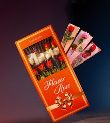 تصویر شاخه‌گل خارجی یلدایی 