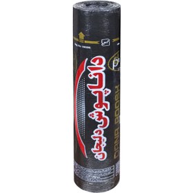 تصویر ایزوگام داناپوش دلیجان 