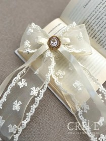 تصویر گیره پاپیونی دوبل 