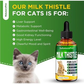 تصویر مکمل درمانی و ساپورت کننده کبد آمریکا Salutempet milk thistle for cats kidney support