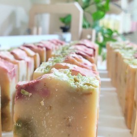 تصویر پن شیر بز 