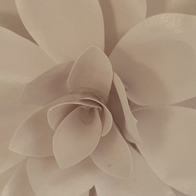 تصویر گل کوکب مقوایی مگنت دار 
