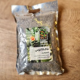 تصویر خاک کاکتوس 3 لیتری 