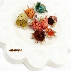 تصویر گل خشک توپی رزین گل-خشک-توپی-رزین