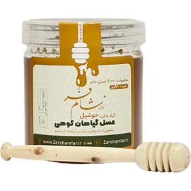 تصویر عسل گیاهان کوهی کرمانشاه ۶۰۰ گرمی Honey of mountain plants