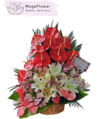 تصویر سبد گل تبریک کد 2041 