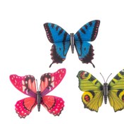 تصویر مگنت مدل پروانه رنگی اکلیلی 1 عددی 