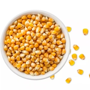 تصویر فروشگاه لوازم قنادی خوشه