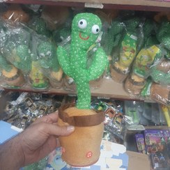 تصویر پخش عمده کاکتوس سخنگو بدون لباس | پخش صالح اباد سنتر 