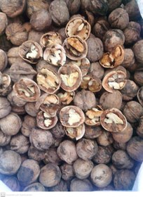 تصویر گردو تویسرکان - یک کیلوگرم 