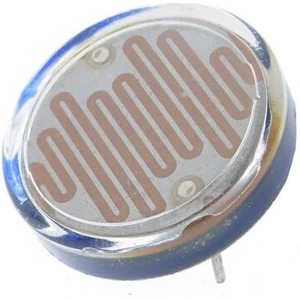 تصویر فروشگاه دلبای