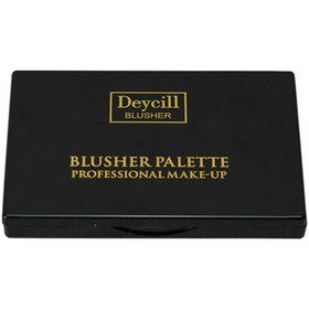 تصویر پالت رژگونه ۶ رنگ دای سل Daycell