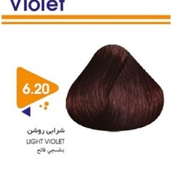 تصویر رنگ مو گیاهی ویتامول سری Violet مدل Light شماره 6.20 