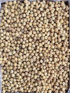 تصویر فروشگاه بازرگانی ایران انجیر