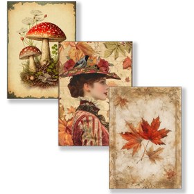 تصویر تمساز پاییزی 