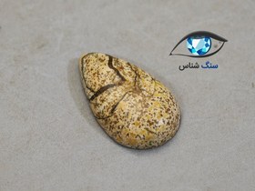 تصویر سنگ جاسپر منظره اشکی 2.5 گرم 