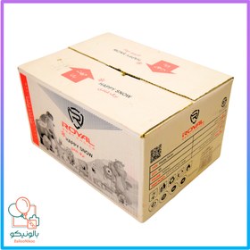 تصویر برف شادی 