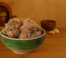 تصویر گل خارمریم 