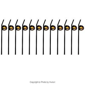 تصویر فروشگاه لوازم جشن هورا